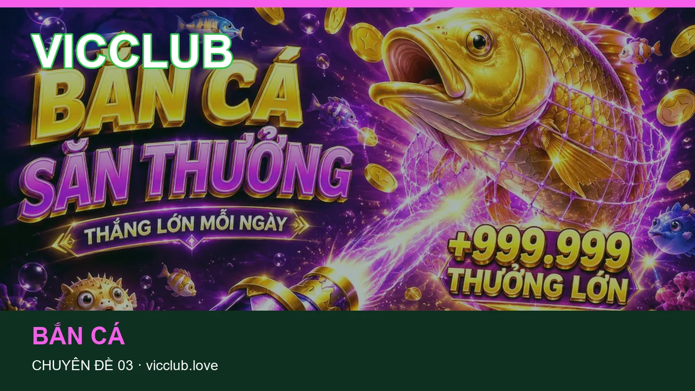 Hỏi đáp về Slot: quy trình tự kiểm tra trên VICCLUB